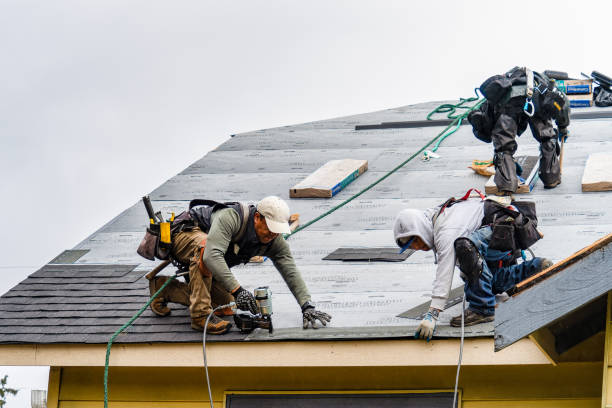 Professional Storm Damage Roof Repair technician working in Wever, IA